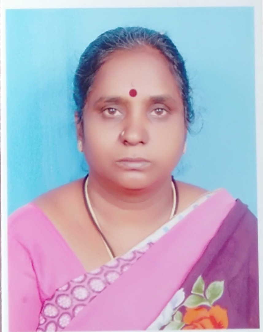 Hamsa M - Part time Baby Sitter in Tilak Nagar in Bangalore Bengaluru