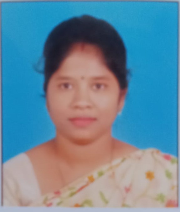 usha mini lakar