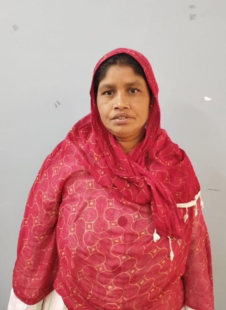 Bina Bibi