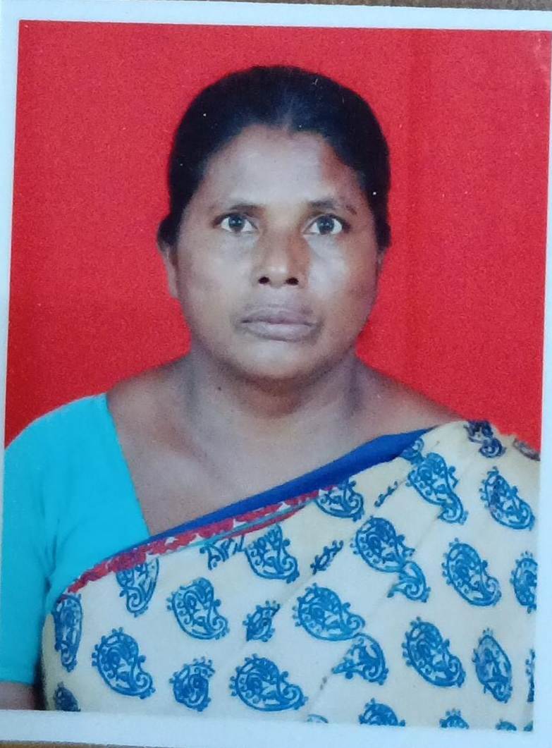 Selvi - Full time Cleaner and Cook and Baby Sitter in Krishnagiri in Chennai