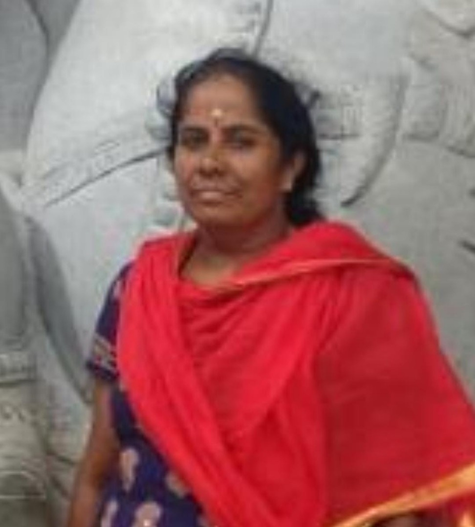 Meenakshi M S - Part time Baby Sitter in Halasuru in Bangalore Bengaluru