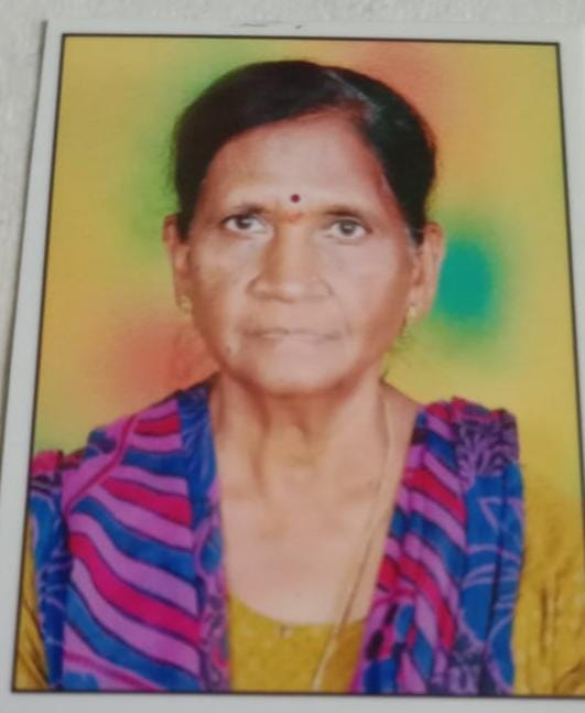 H N Lakshmidevi - Part time Patient Care and Elderly Care in Laggere Bridge in Bangalore Bengaluru