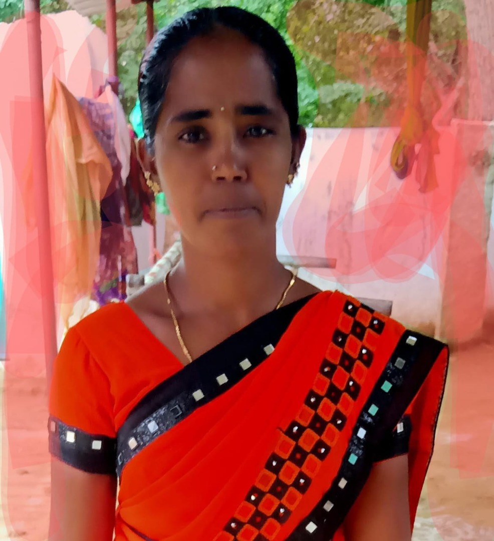 B Krishnamma - Full time Cleaner and Cook and Baby Sitter in chittor in Chittoor