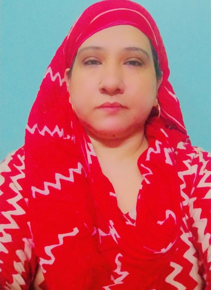 Heena khan - Part time Cleaner and Cook in delhi in Delhi