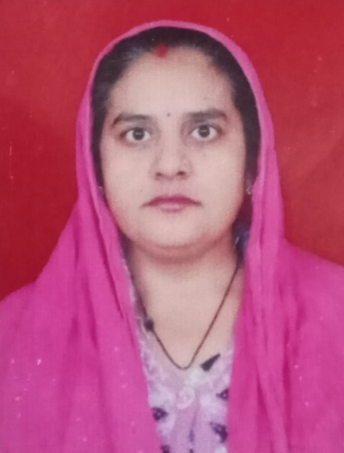 Meena - Part time Patient Care and Elderly Care and Baby Sitter in Dilshad Garden in Delhi