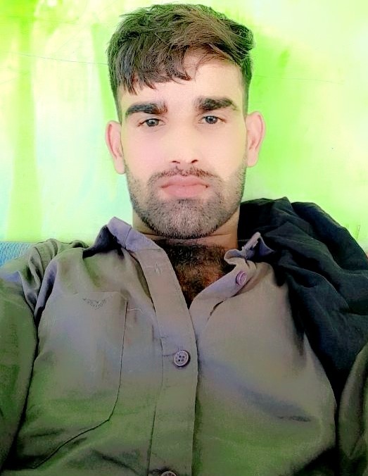 ashok singh rajput - Part time Cleaner in Hastsal delhi in Delhi