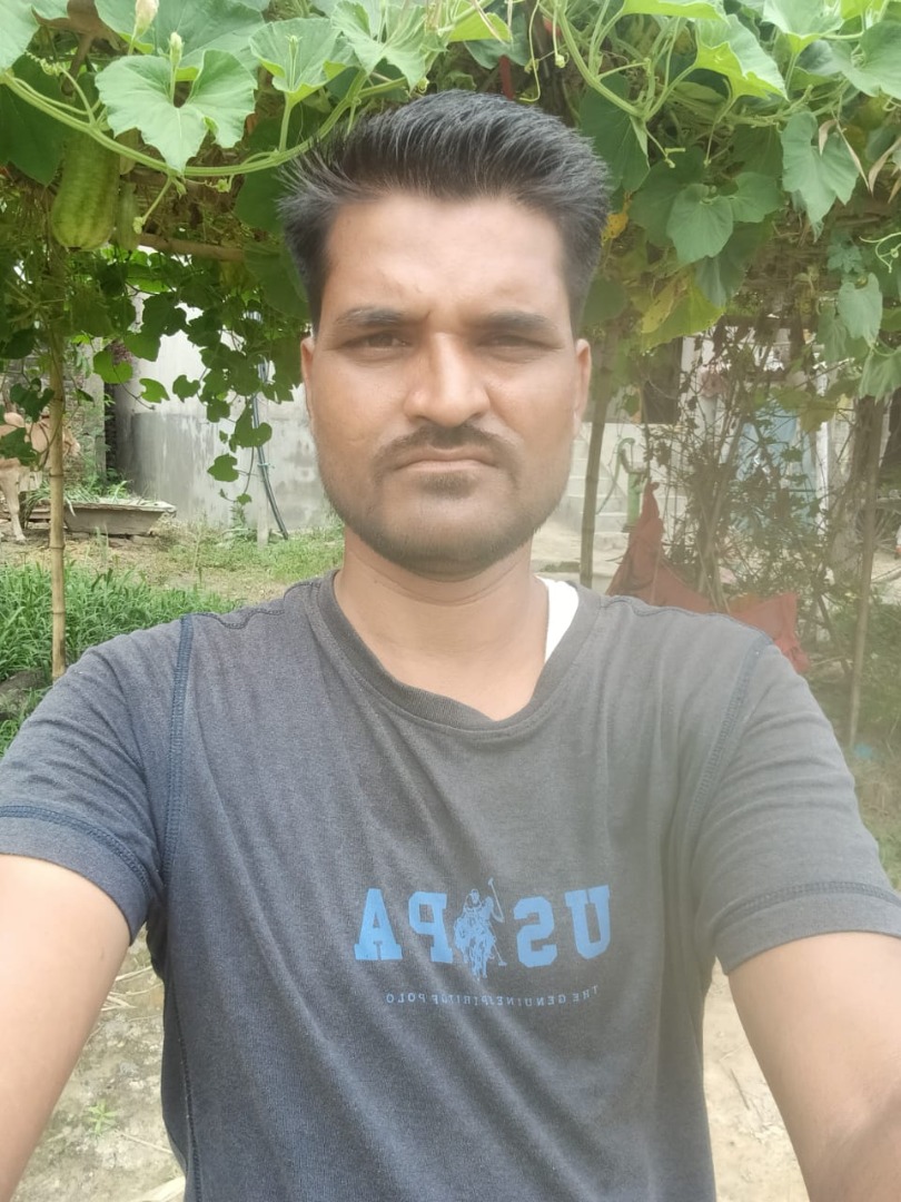 bittu sing - Part time Cook in Madhubani in Patna
