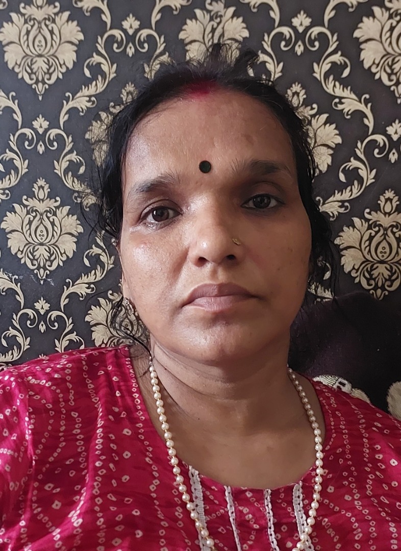 Vandana jha - Part time Baby Sitter in dwarka sector3 in Delhi