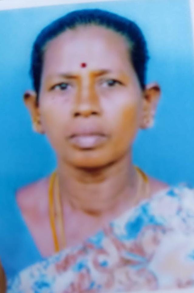 M Ramani - Full time Cleaner and Cook and Baby Sitter in pernampattu in Vellore