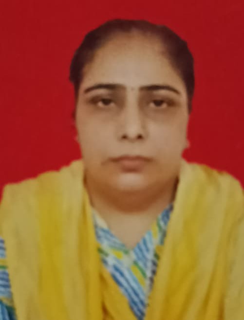 Pinky - Part time Baby Sitter in Gandhi nagar in Delhi