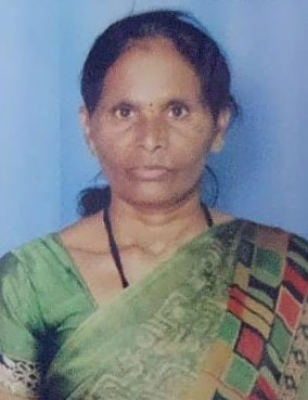 Bharathi - Part time Baby Sitter in Parappana Agrahara in Bangalore Bengaluru