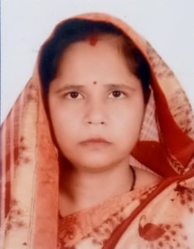 Neetu Raikwar - Part time Baby Sitter in Deputy Gan in New Delhi
