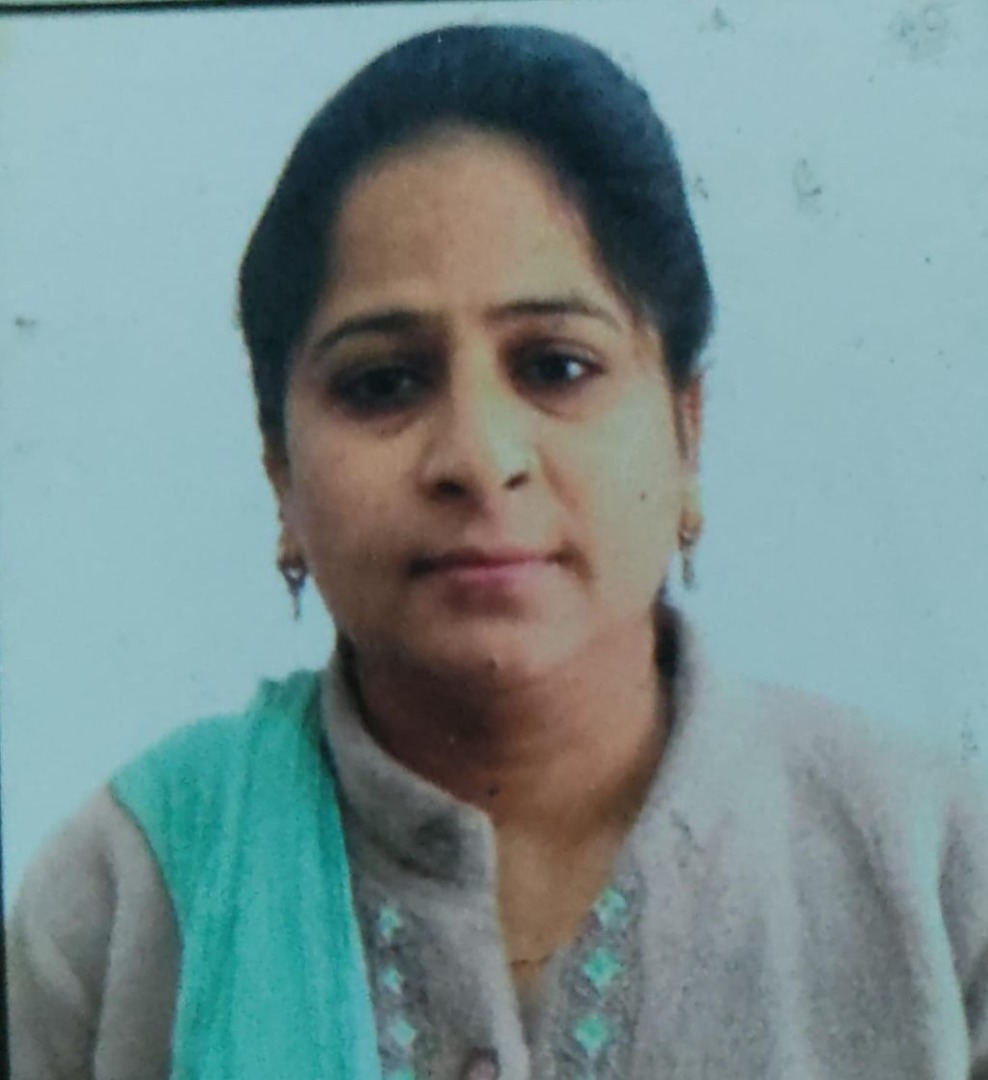 Manju Devi - Part time Baby Sitter in Brass Market, in Rewari