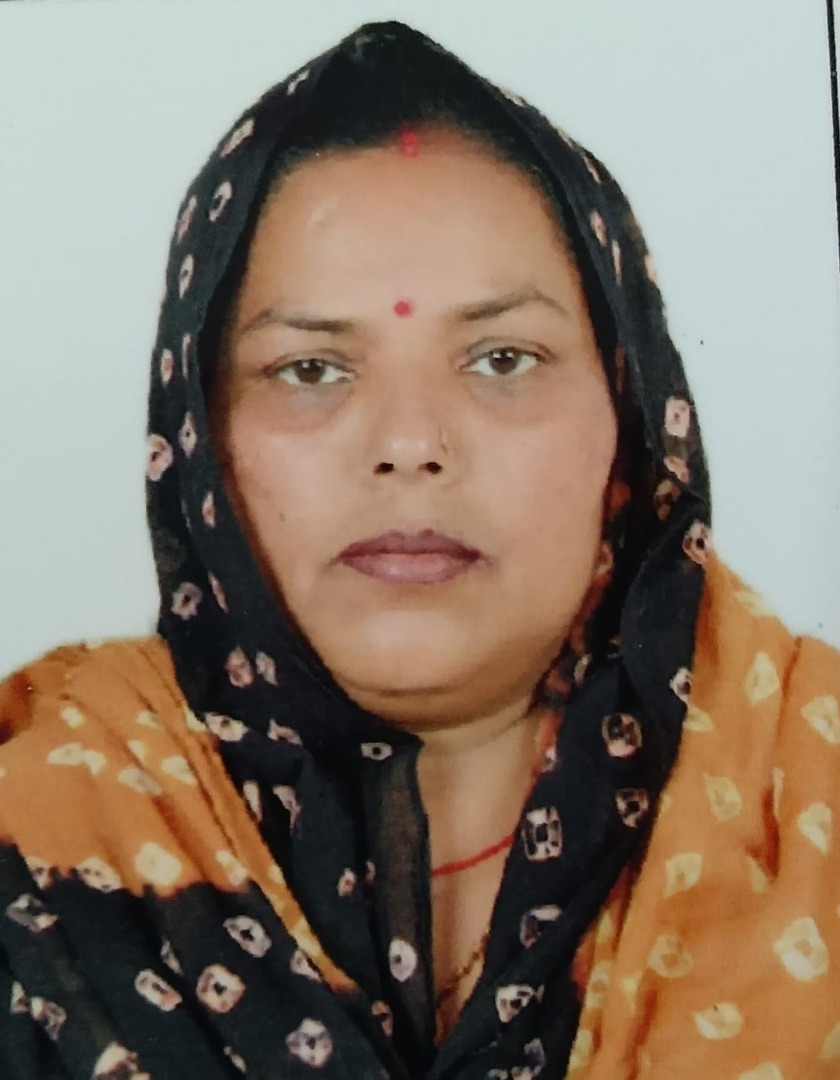 Sonu - Part time Cook and Baby Sitter in Kakrola in Delhi