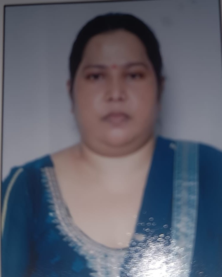 Barkha - Part time Baby Sitter in Seelampur in Delhi