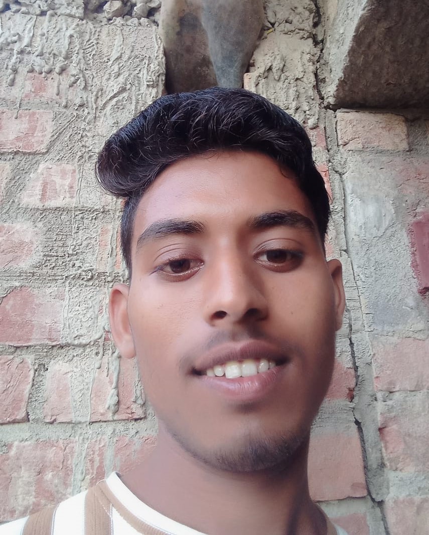 Pawan Singh - Part time Cleaner in Sahora in Hardoi