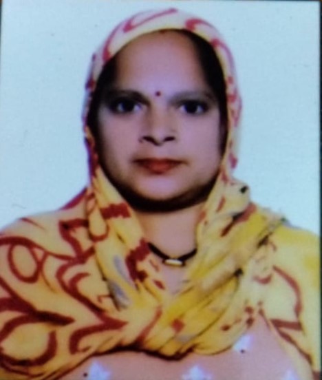 Meera - Part time Baby Sitter in Budh Vihar in Delhi