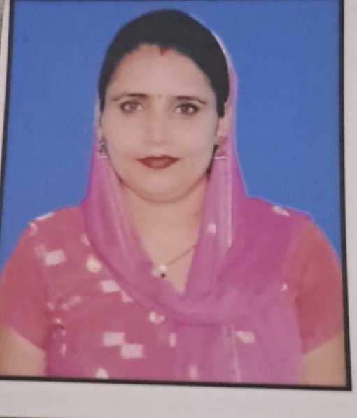 Saroj Singh - Part time Cook and Patient Care and Elderly Care and Baby Sitter in delhi in Delhi