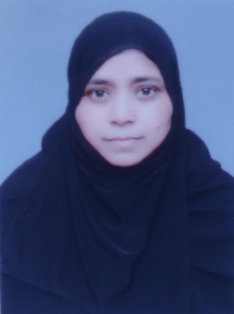 Bushra  Khatoon - Part time Baby Sitter in Barabanki in Lucknow