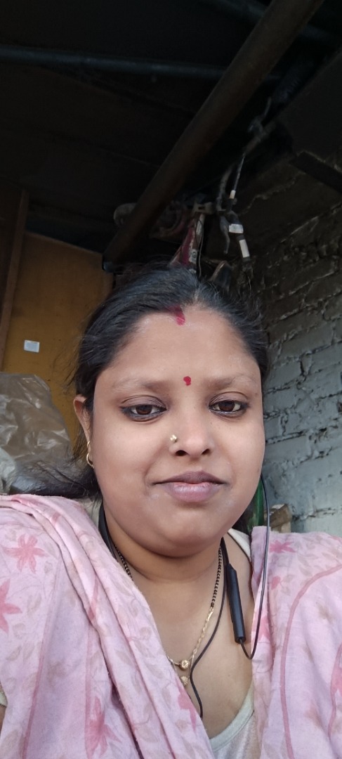 RUPAM - Part time Cleaner and Cook in Azadpur, Delhi, 110033 in Delhi