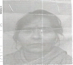 Chandani Mathur - Full time Cook and Patient Care and Elderly Care and Baby Sitter in Bhajanpura in New Delhi