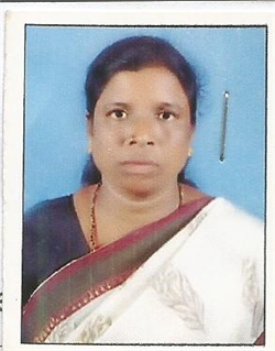 Hasina Banu Habidh Khan - Part time Cleaner and Baby Sitter in Chitradurga, Doddasiddanahalli, Jayan Kote Post, Neranaal in Chitradurga