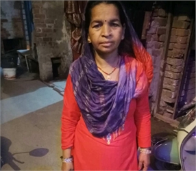 Laxmi - Part time Baby Sitter in Holambi Kalan, in Delhi