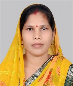 Laxmi - Part time Cleaner and Baby Sitter in Sector 13, Gurugram in Gurgaon