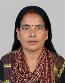 Madhu Sane - Part time Cleaner and Cook and Baby Sitter in Sadar bazzar in Delhi