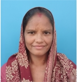 Manju - Part time Cleaner and Baby Sitter in Shahbad Dairy in Delhi