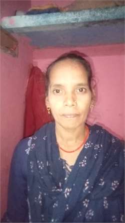 Manju Gaur - Part time Cleaner in SAMAYPUR BADLI in Delhi