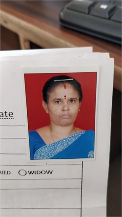 Manjula - Part time Baby Sitter in jayanagar in Bangalore Bengaluru