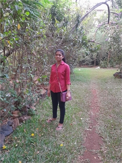 mariyam ekka - Full time Cleaner and Baby Sitter in panvel in Panvel