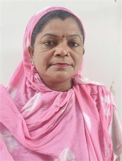 Meena - Part time Cleaner and Baby Sitter in maan colony in Delhi