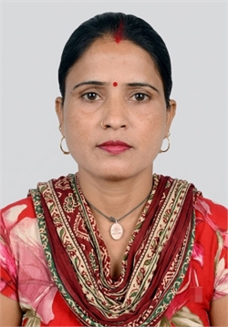 Meena - Part time Cleaner and Cook and Baby Sitter in J3VQ+QM3, Prithvi Park-I, Delhi in Delhi