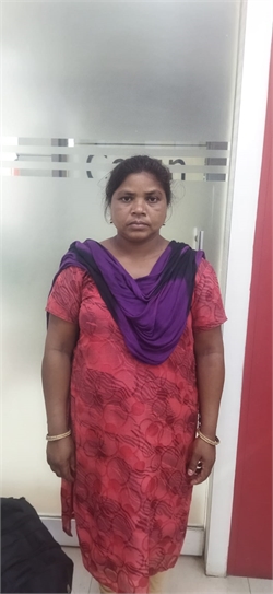 Meera devi suren - Full time Cleaner and Cook in mahim in Mumbai