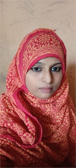 Mehraj Sultana - Part time Baby Sitter in Chandrayaangutta in Hyderabad