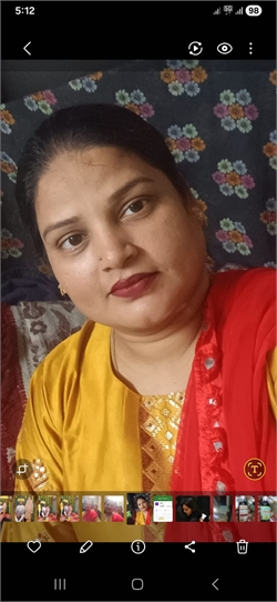 Nilofar Shaikh - Part time Baby Sitter in Vishrant  wadi in Pune