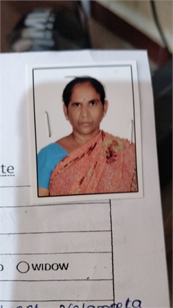 parvathi puvvala