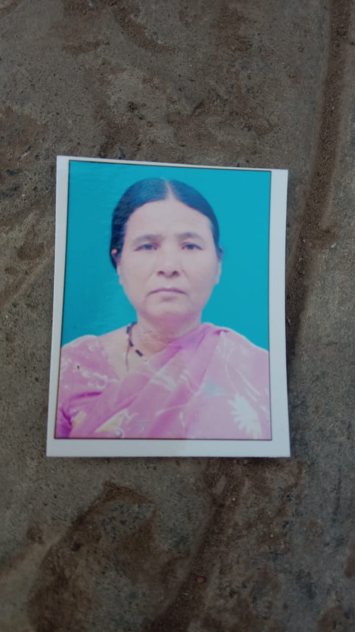 Pramila Kadam - Part time Baby Sitter in Manjari Budruk in Pune