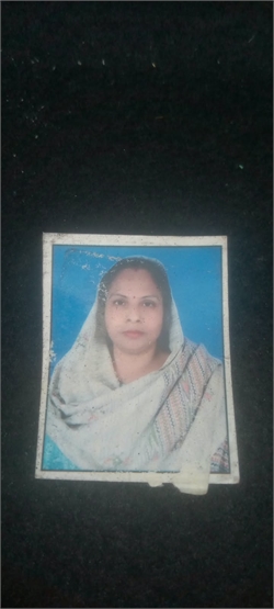 priya - Part time Patient Care and Elderly Care and Baby Sitter in Haiderpur, Shalimar Bagh, New Delhi, in Delhi