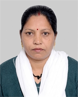 Rama - Part time Cleaner and Cook and Baby Sitter in Sector 18, in New Delhi