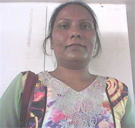 Rani Shrirang Waghmare - Part time Baby Sitter in VASAI  WEST in Satara