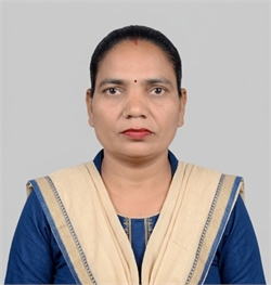 Renu - Part time Cleaner and Baby Sitter in Maharishi Valmiki Marg in Delhi