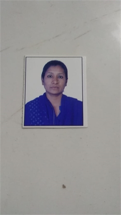 Sana Parveen Shaikh - Part time Cleaner and Cook and Patient Care and Elderly Care and Baby Sitter in vasai east in Mumbai