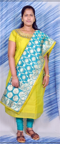 Shalini Shinde - Full time Baby Sitter in sindudurg in Amravati