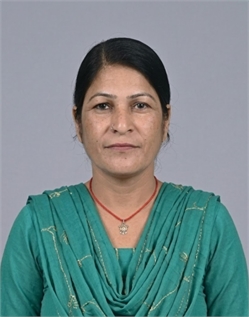 Sunita - Part time Cleaner and Cook and Baby Sitter in Mahavir Vihar Sector 1 in Delhi