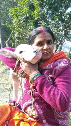 Sushila Devi - Part time Cook and Baby Sitter in Faridabad in Faridabad
