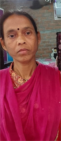 Sushma Naranje - Part time Cleaner in Gaddi godam, near by mohan nagr in Nagpur