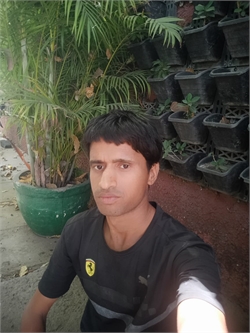 Tarikh Khan - Part time Cook in Lado Sarai in New Delhi